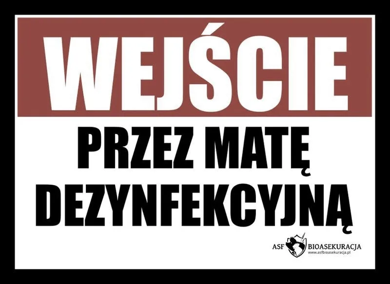 Gdzie i kiedy odbędzie się koncert Mata w Gdańsku w 2026 roku?