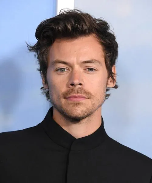 Daty koncertów Harry'ego Stylesa
