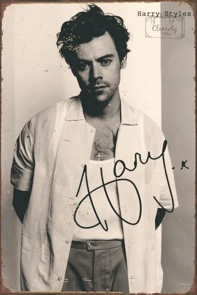 Harry Styles koncerty 2026